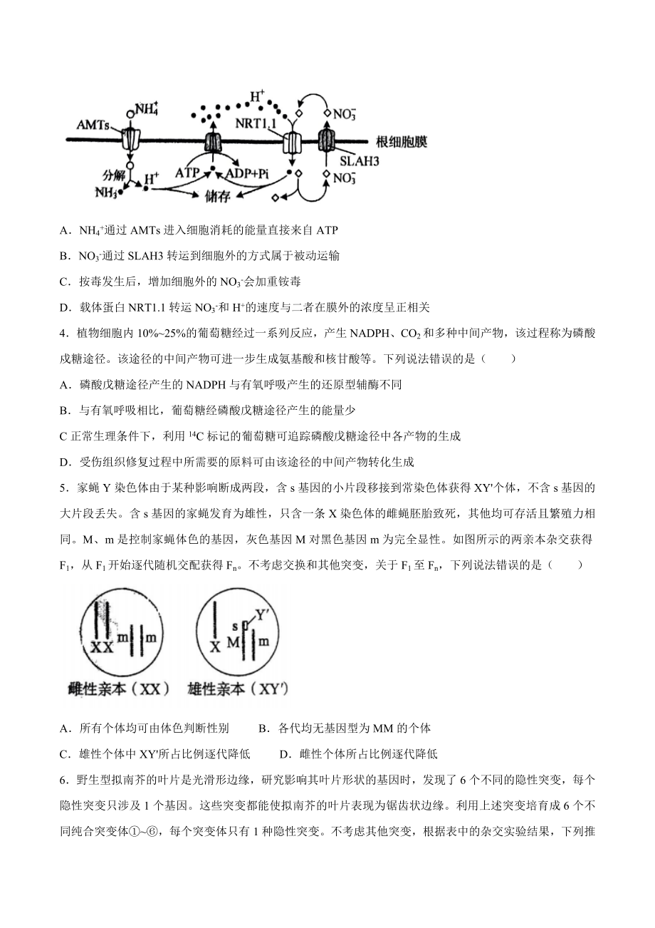 2022年高考真题-生物（山东卷）.docx_第2页