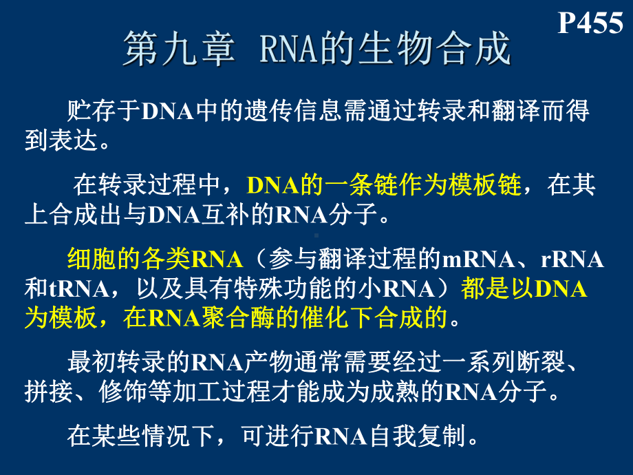 西北大学生物化学PPT RNA的生物合成-L课件.ppt_第1页