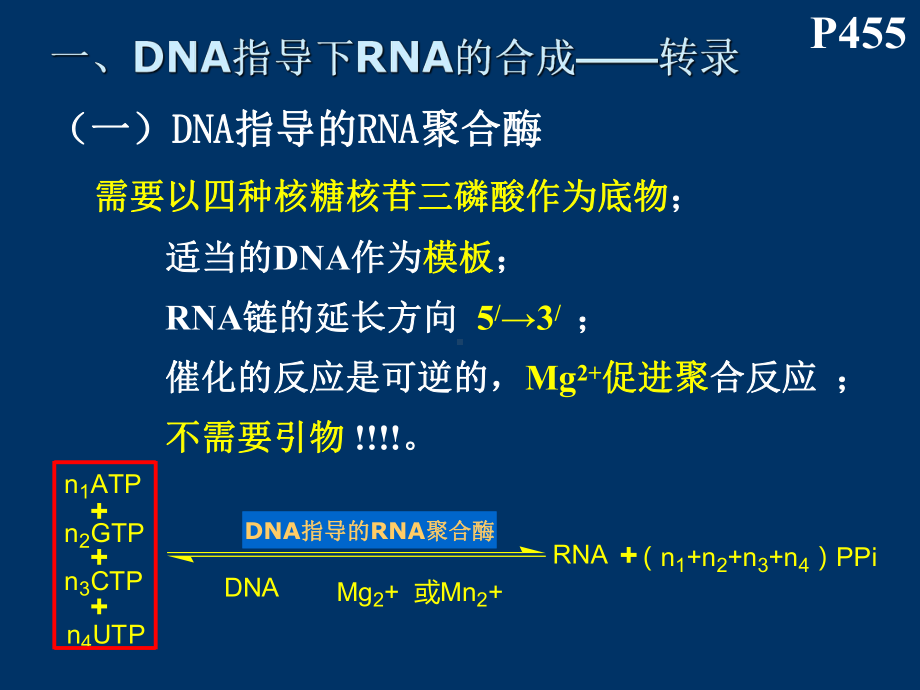 西北大学生物化学PPT RNA的生物合成-L课件.ppt_第2页