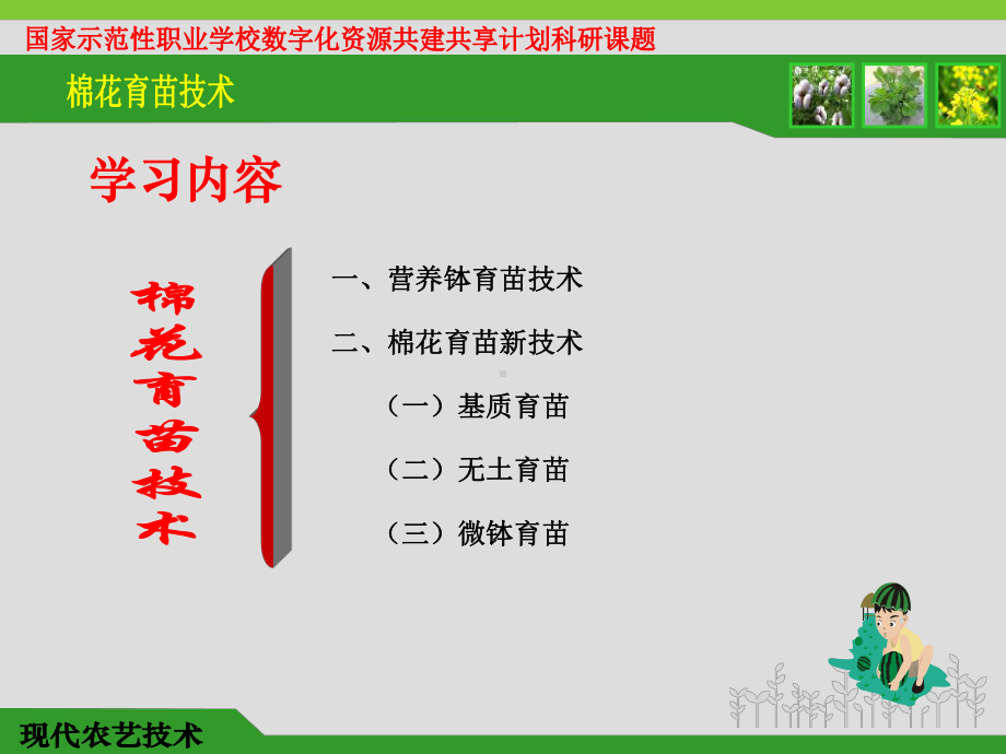 经济作物生产技术课件.ppt_第3页