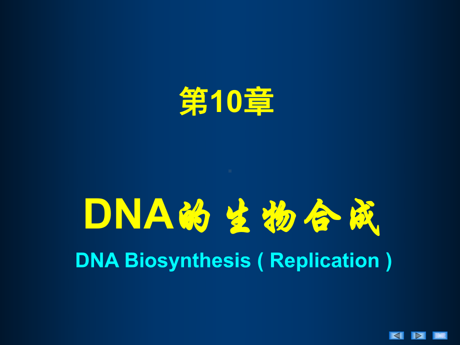 第10章DNA的生物合成(11采用)课件.ppt_第1页