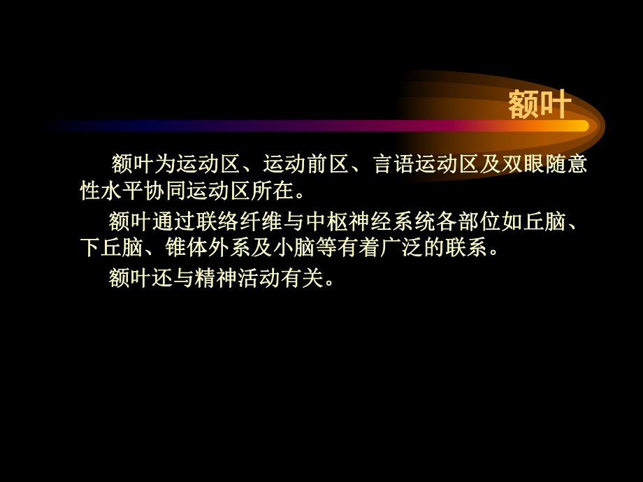 大脑半球课件.ppt_第2页