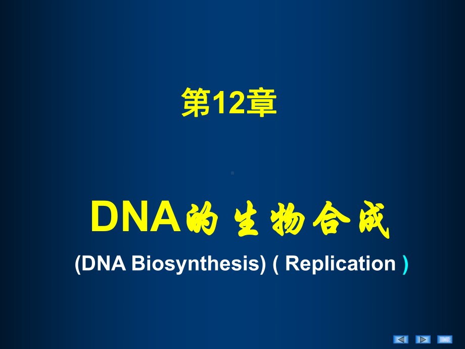 第12章 DNA的生物合成(HDN).ppt课件.ppt_第3页