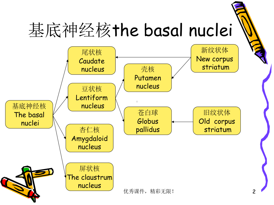 大脑半球的内部结构课件.ppt_第2页