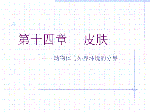 组织与胚胎学第十四章 皮肤课件.ppt