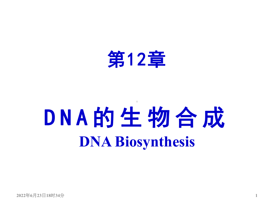 DNA的生物合成7课件.ppt_第1页