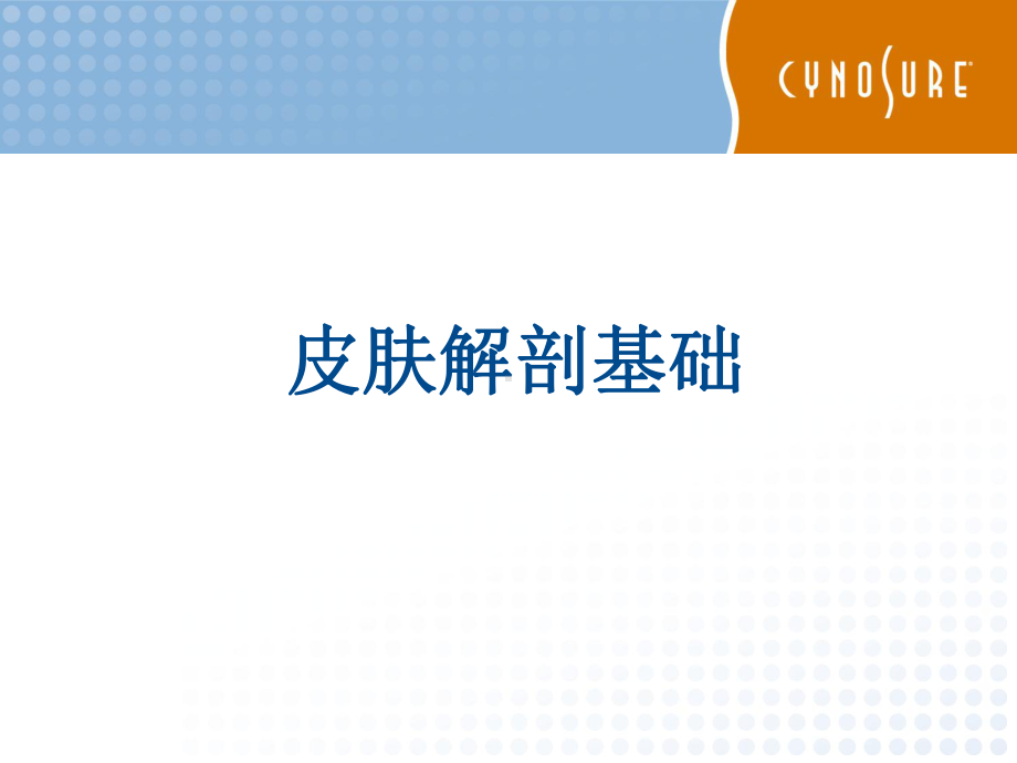 皮肤组织解剖学课件.ppt_第1页