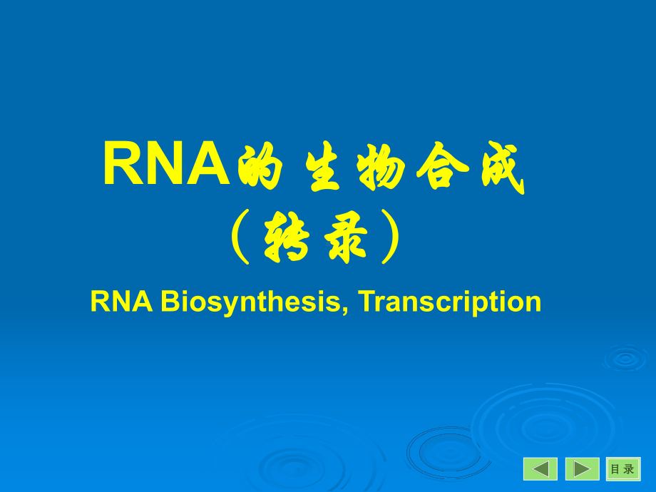 PPT-RNA的生物合成（转录）RNABiosynthesis,Transcription课件.ppt_第1页