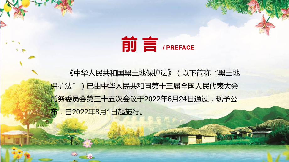 资料2022年新修订《黑土地保护法》PPT学习解读《中华人民共和国黑土地保护法》课件.pptx_第2页