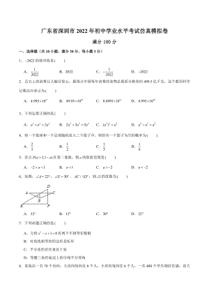 广东省深圳市2022年初中学业水平考试仿真模拟卷.docx