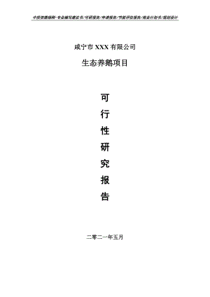 生态养鹅建设项目可行性研究报告建议书.doc