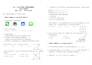 山东省青岛市黄岛区青岛西海岸新区育才初级 2021—2022学年七年级下学年期末数学试题.pdf