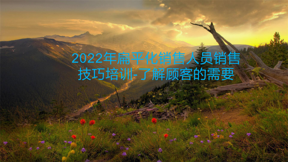 2022年扁平化销售人员销售技巧培训-了解顾客的需要.pptx_第1页