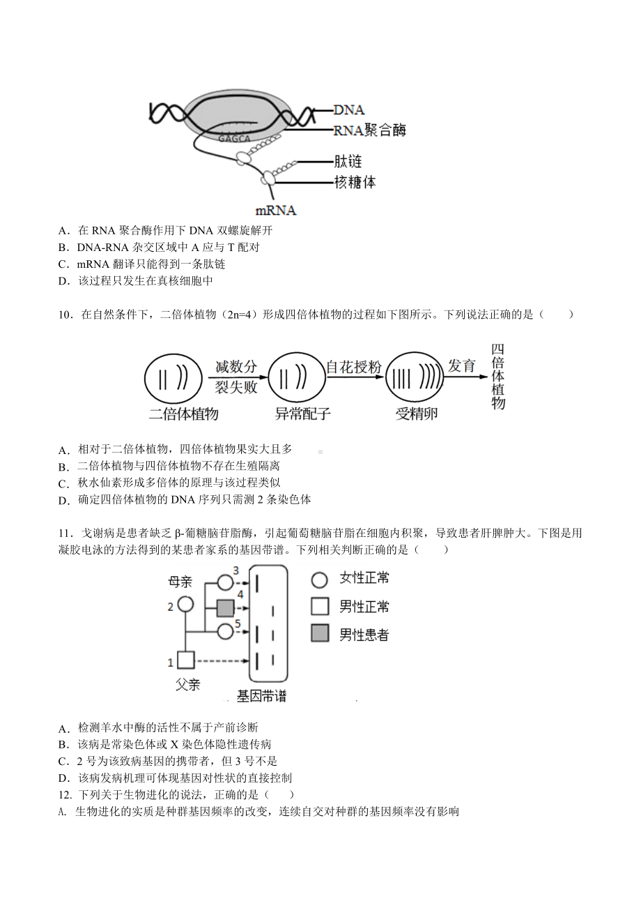 广东省深圳市龙城高级 2021届高三下学期第十二次周测生物试卷.docx_第3页