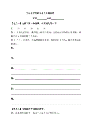 2021-2022部编版五年级下册语文期末考点专题训练 （试题）-(含答案).docx