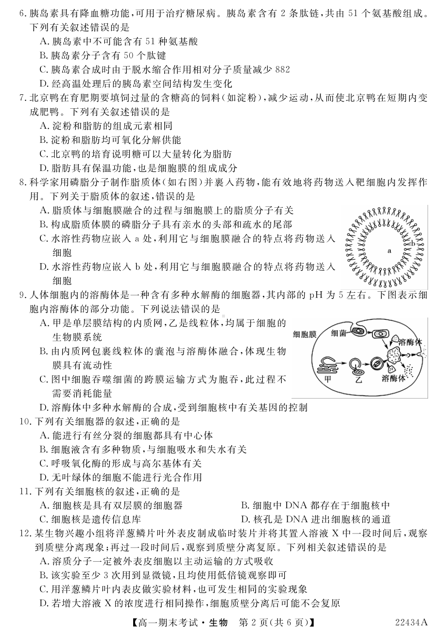 山西省名校2021-2022学年高一上学期期末考试生物试卷.pdf_第2页