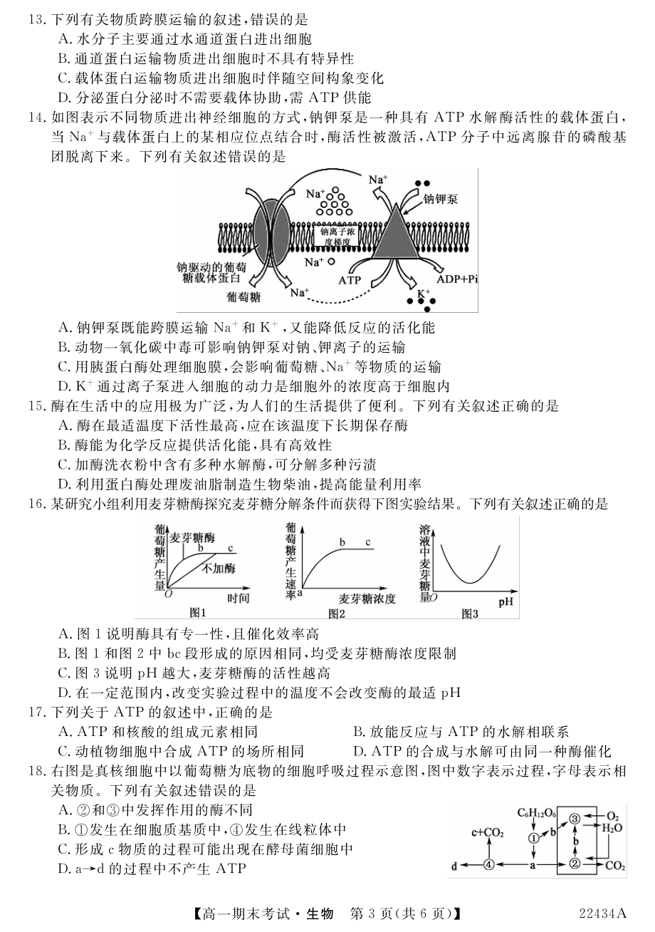 山西省名校2021-2022学年高一上学期期末考试生物试卷.pdf_第3页