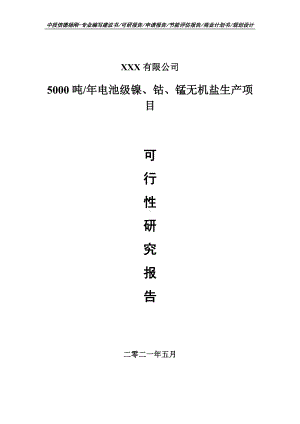 电池级镍、钴、锰无机盐生产项目可行性研究报告建议书申请备案.doc