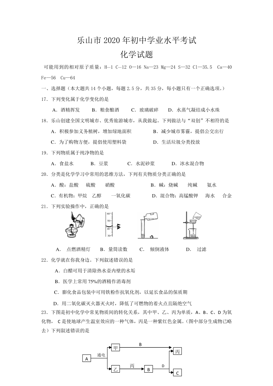 2020年四川省乐山市中考化学真题（含答案）.rar