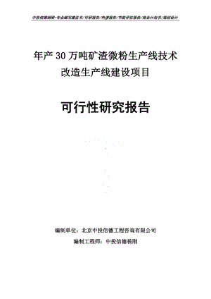 年产30万吨矿渣微粉生产线技术改造项目可行性研究报告申请建议书案例.doc