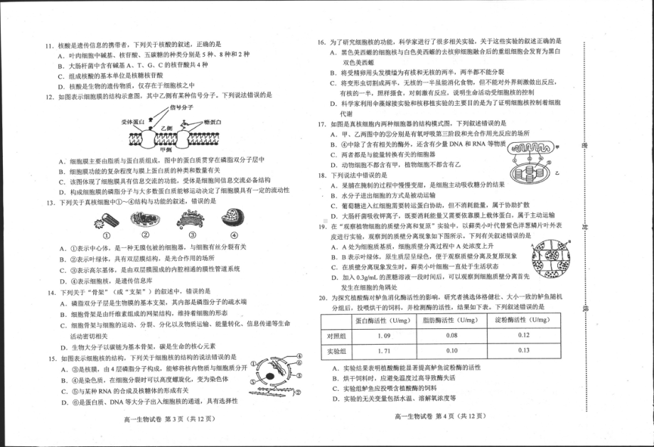 河北省唐山市2021-2022学年高一上学期期末考试生物试题含答案.pdf_第2页