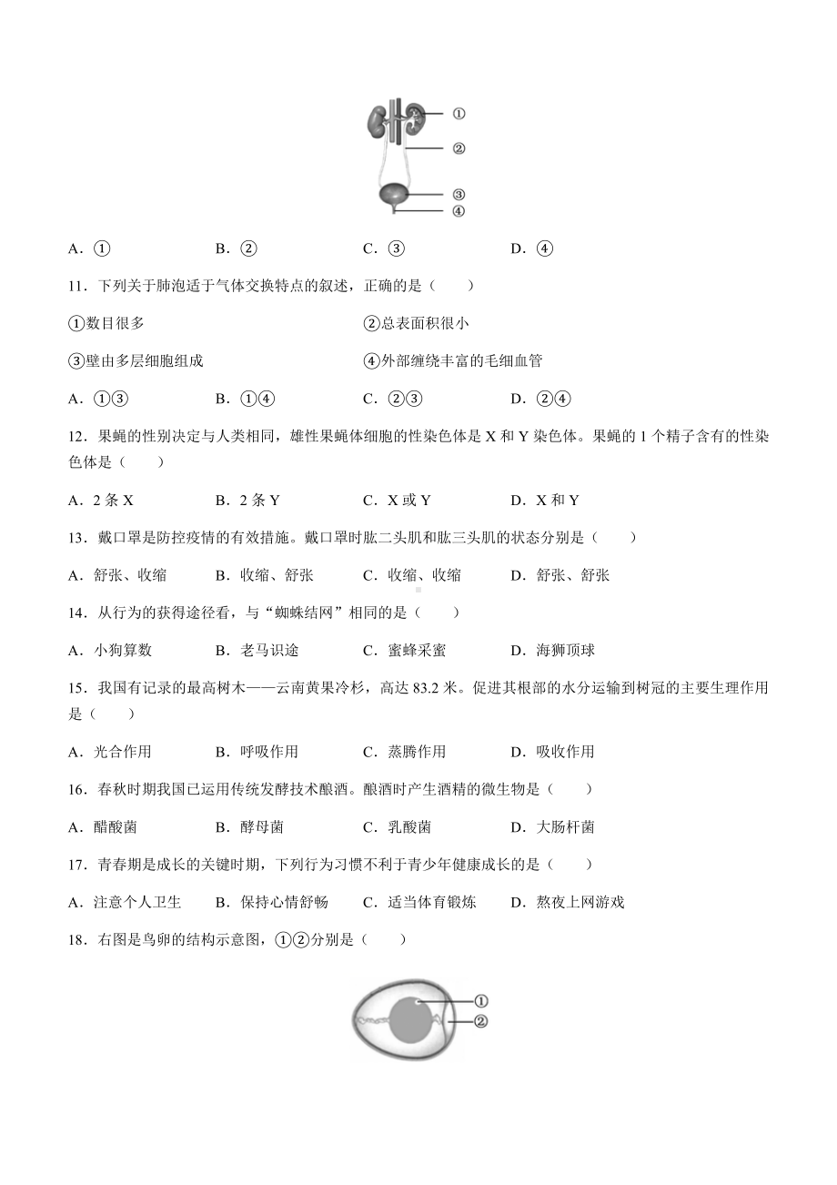 2022年福建省中考生物真题（含答案）(1).docx_第2页