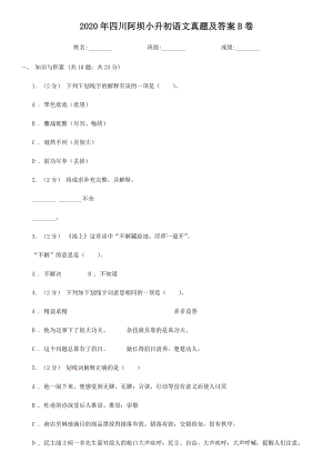 2020-2021学年四川省阿坝藏族羌族自治州语文六年级下册小升初真题及答案B卷.doc