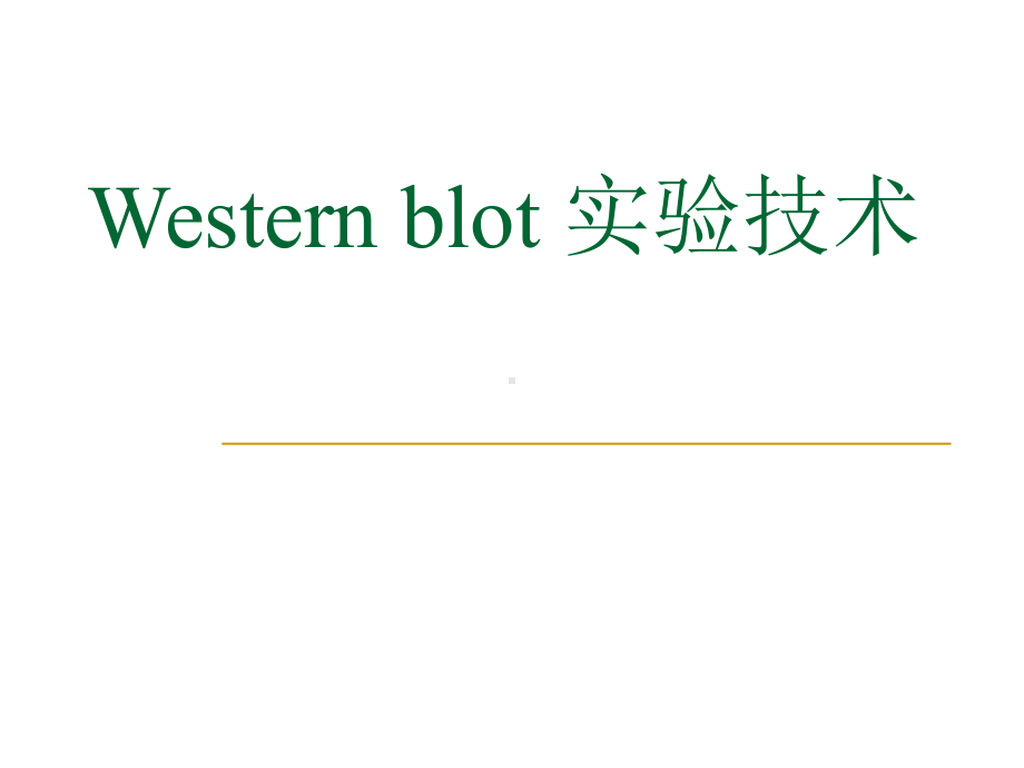 western+blot+ppt资料课件.ppt_第1页