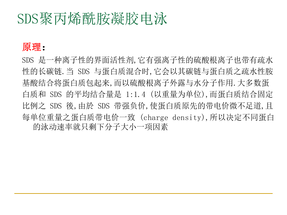 western+blot+ppt资料课件.ppt_第3页