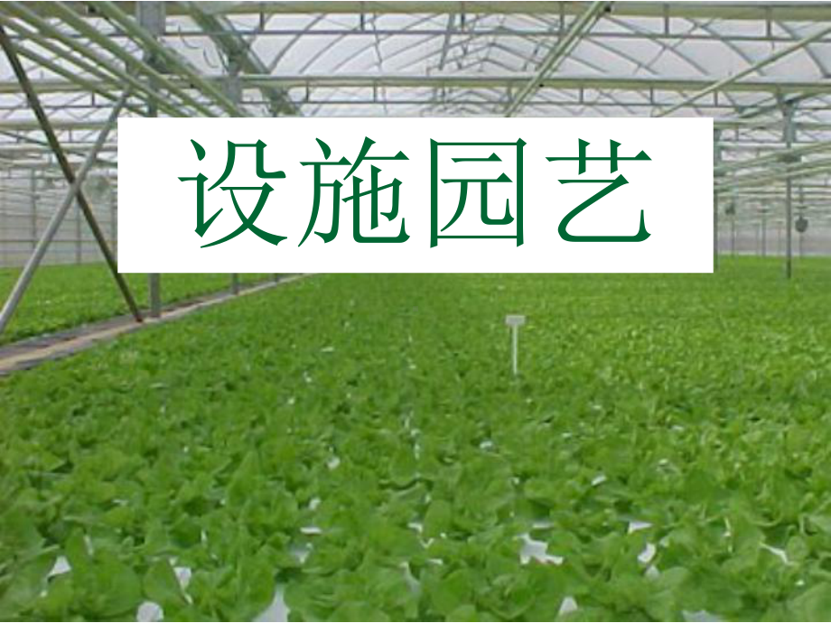 园艺植物栽培学-8.-设施园艺课件.ppt_第1页