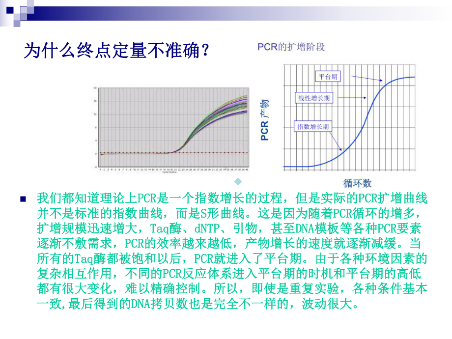 实时荧光定量PCR原理和实验课件.ppt_第2页