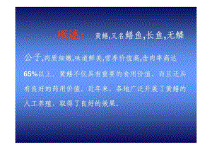 黄鳝的养殖技术(PPT-60页).ppt精品文档课件.ppt