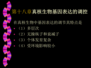 [精选]第十八真核生物基因表达的调控-资料课件.ppt