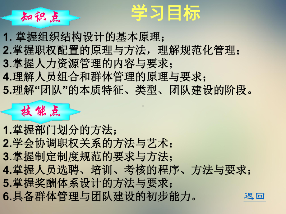 组织结构的设计与团队建设课件.ppt_第2页