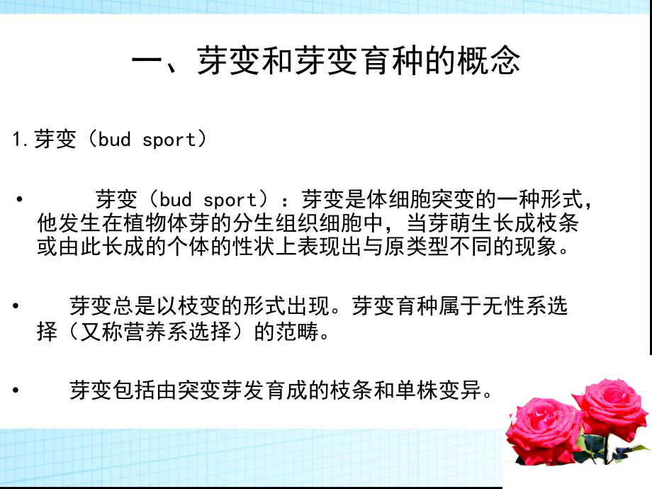 月季的芽变选种分析课件.ppt_第2页