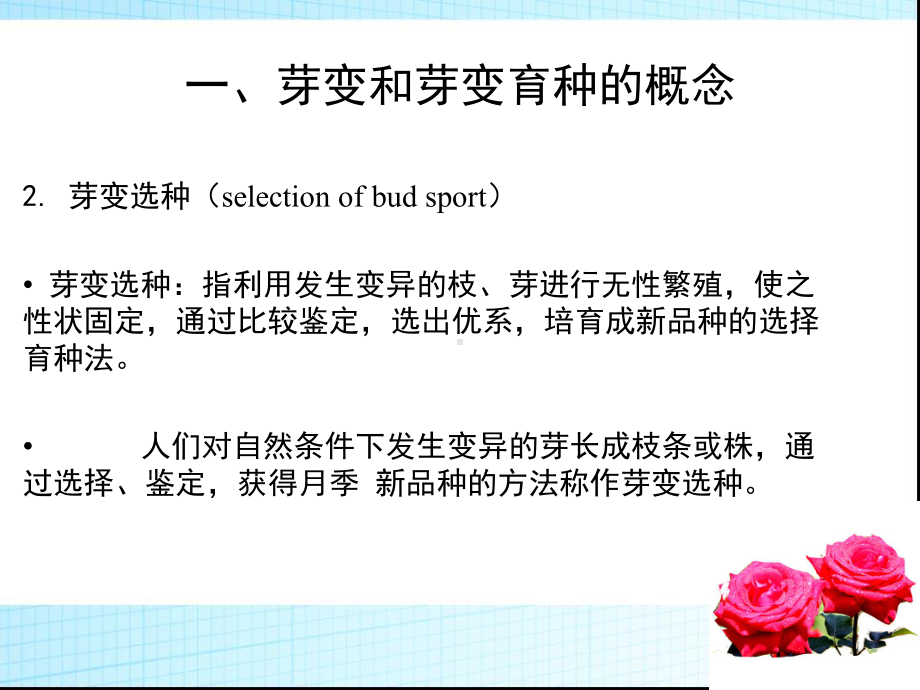 月季的芽变选种分析课件.ppt_第3页