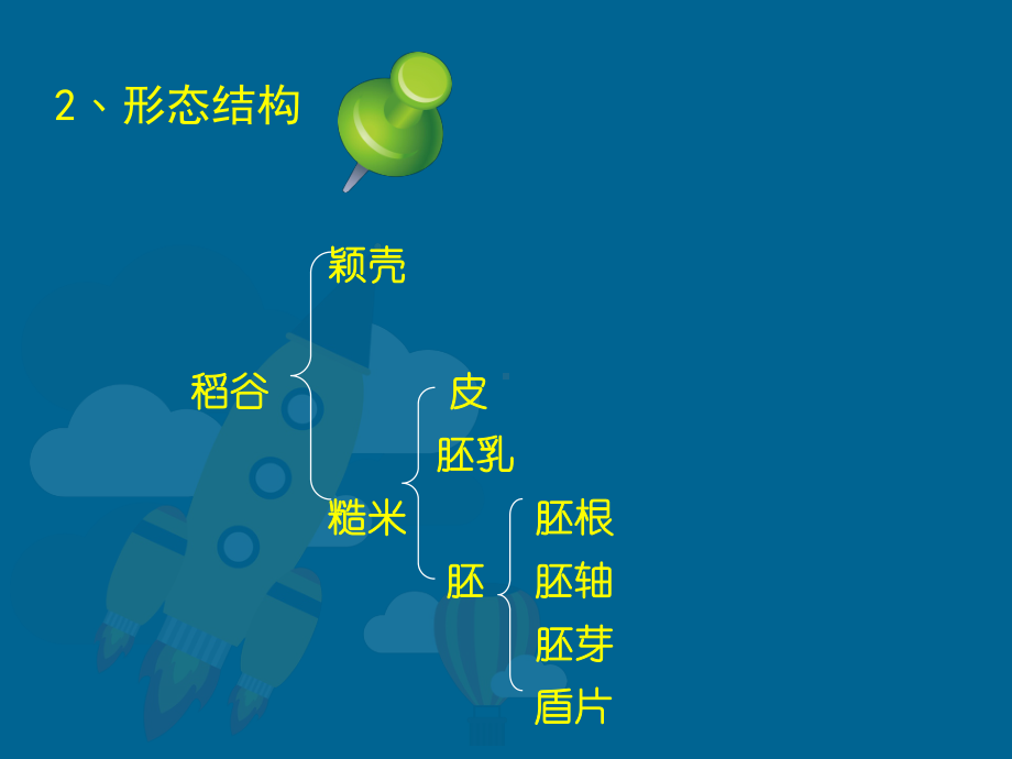 01第一章--稻谷的加工汇总课件.ppt_第3页