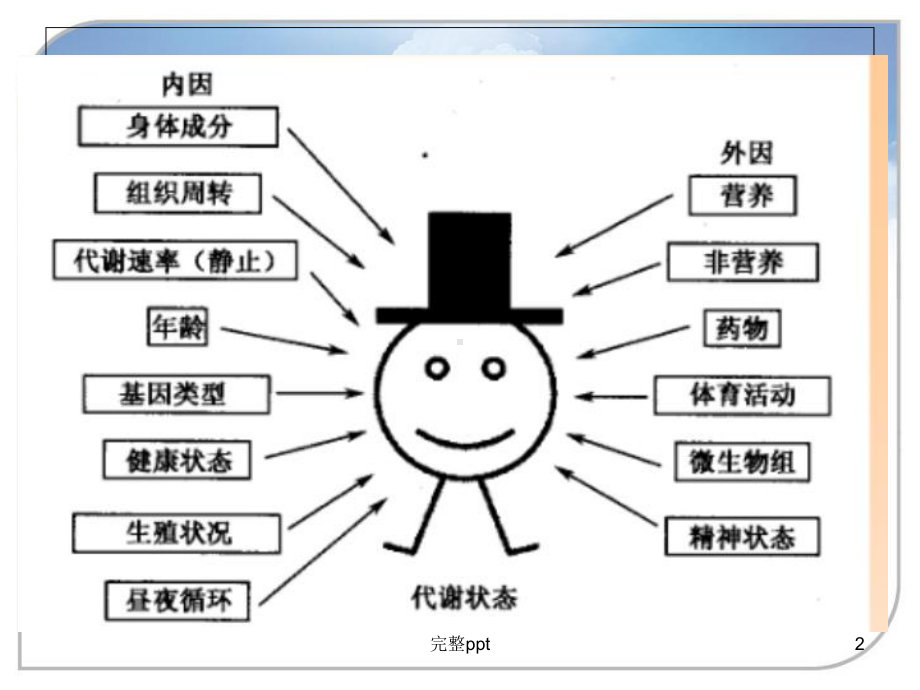 代谢组学的研究方法和研究流程课件.ppt_第2页