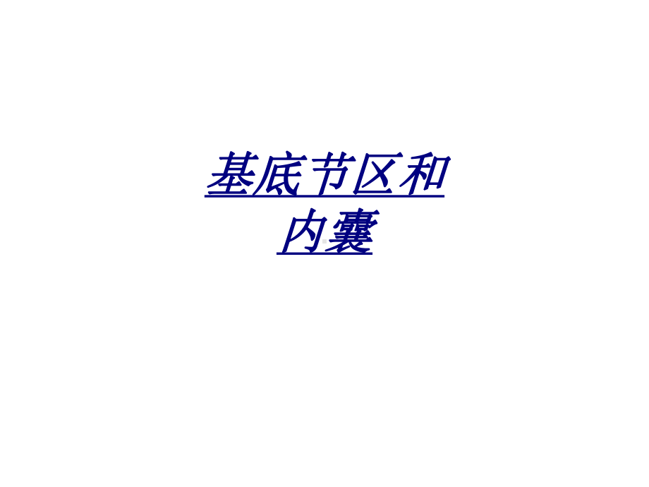 基底节区和内囊讲义课件.ppt_第1页