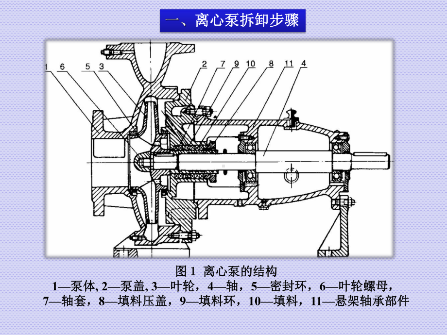 单级离心泵的检修课件.ppt_第3页