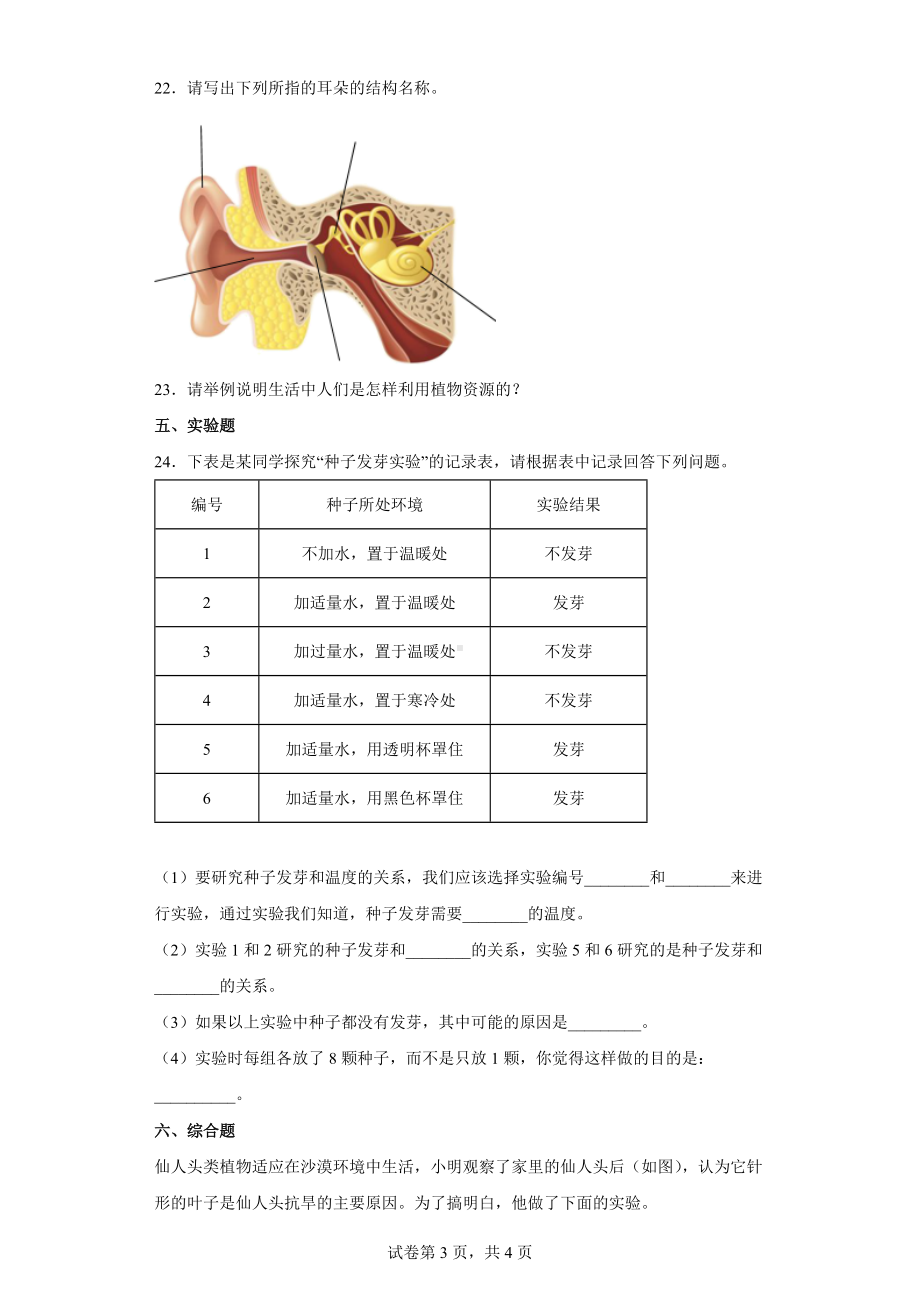 2022新苏教版三年级下册科学综合练习（word版 含答案）.docx_第3页