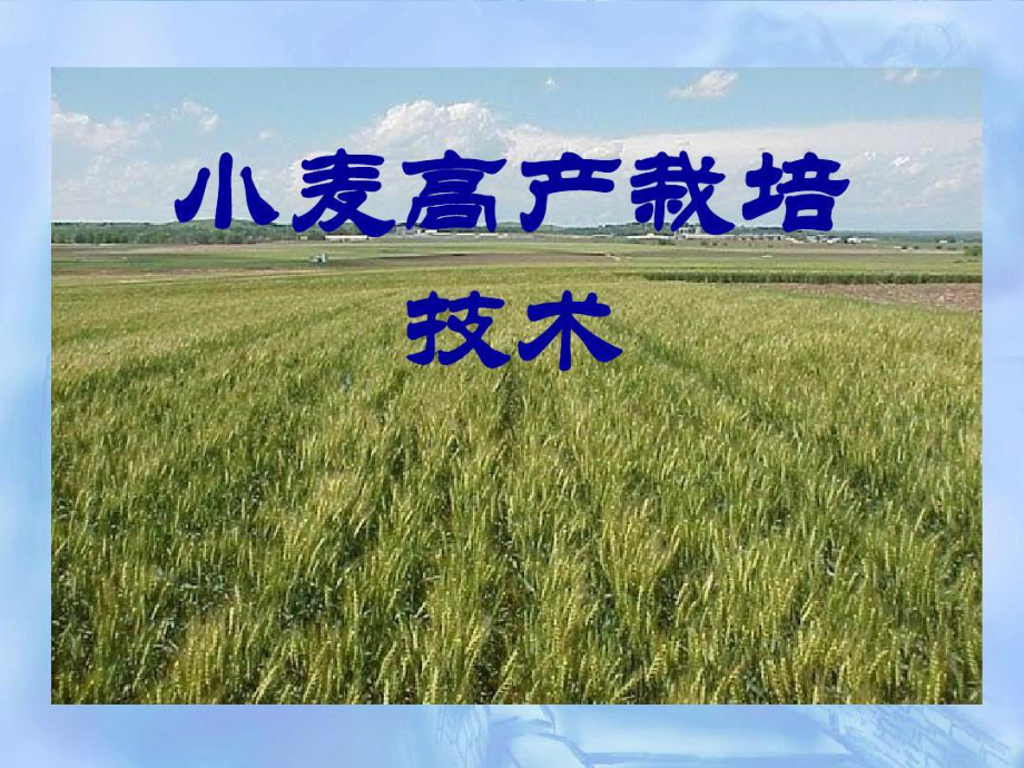 小麦高产栽培技术83页PPT课件.ppt_第1页