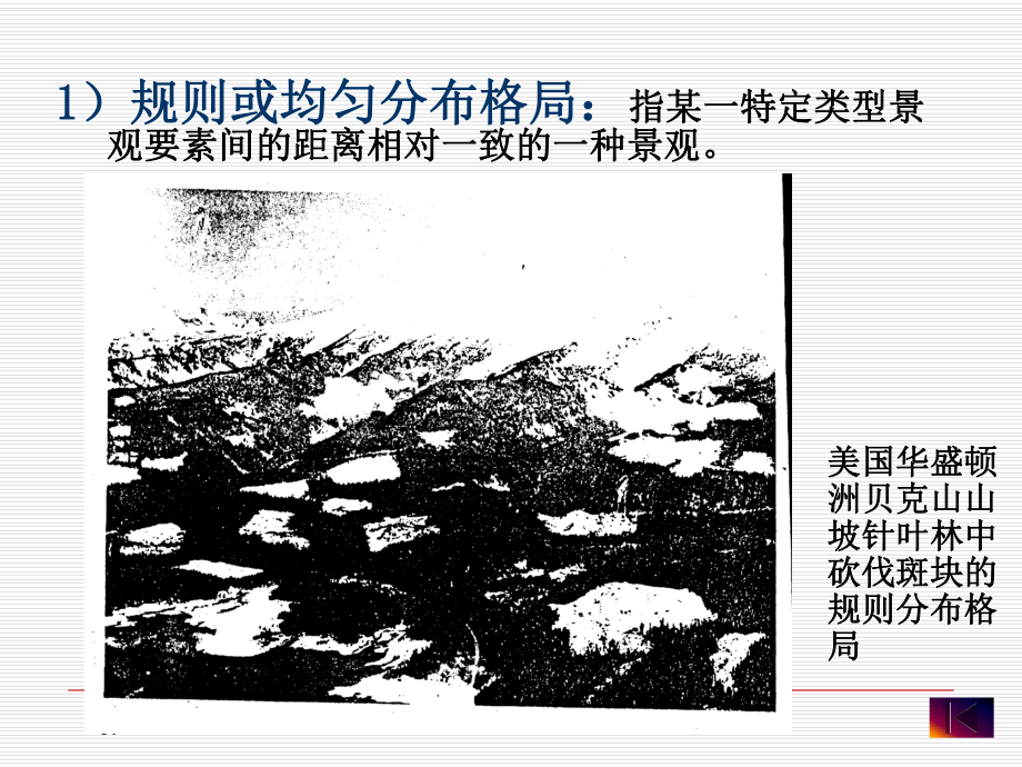 景观格局分析方法共40页文档课件.ppt_第3页