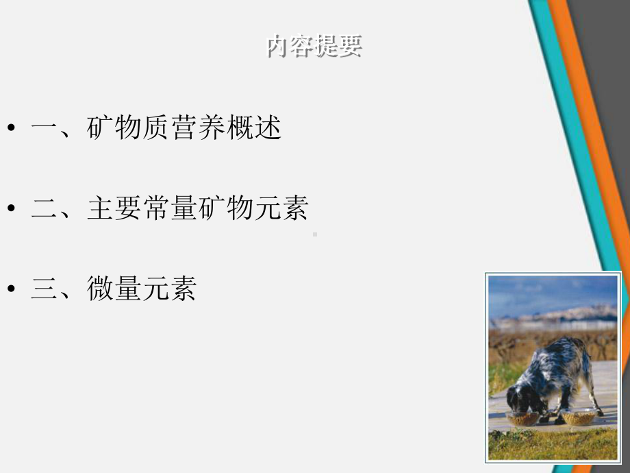 常见的主要矿物质和宠物营养课件.ppt_第2页