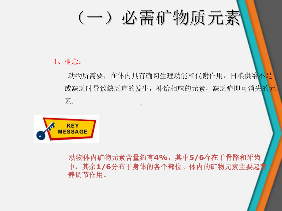 常见的主要矿物质和宠物营养课件.ppt_第3页