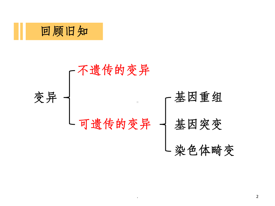 《生物变异在生产上的应用》课件.ppt_第2页