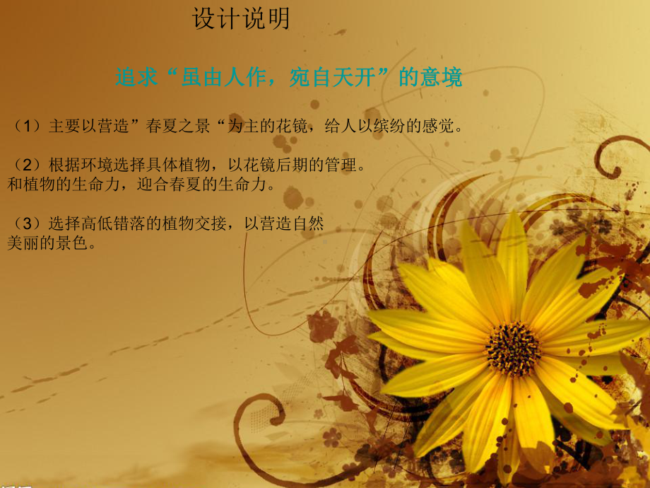 花镜设计作业课件.ppt_第3页