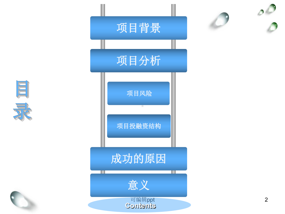 项目投融资案例分析课件.ppt_第2页