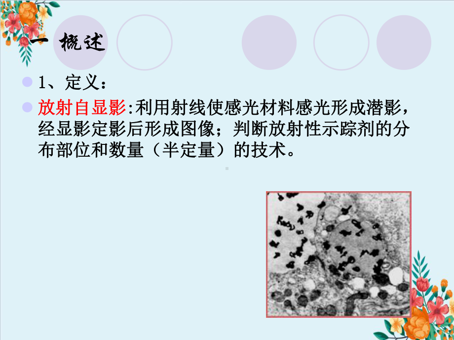 放射自显影的定义、基本类型和材料课件.ppt_第3页