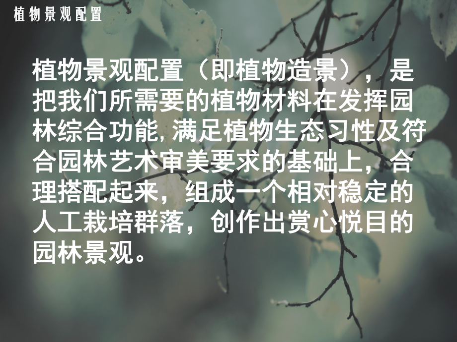 植物景观配置分析课件.ppt_第2页